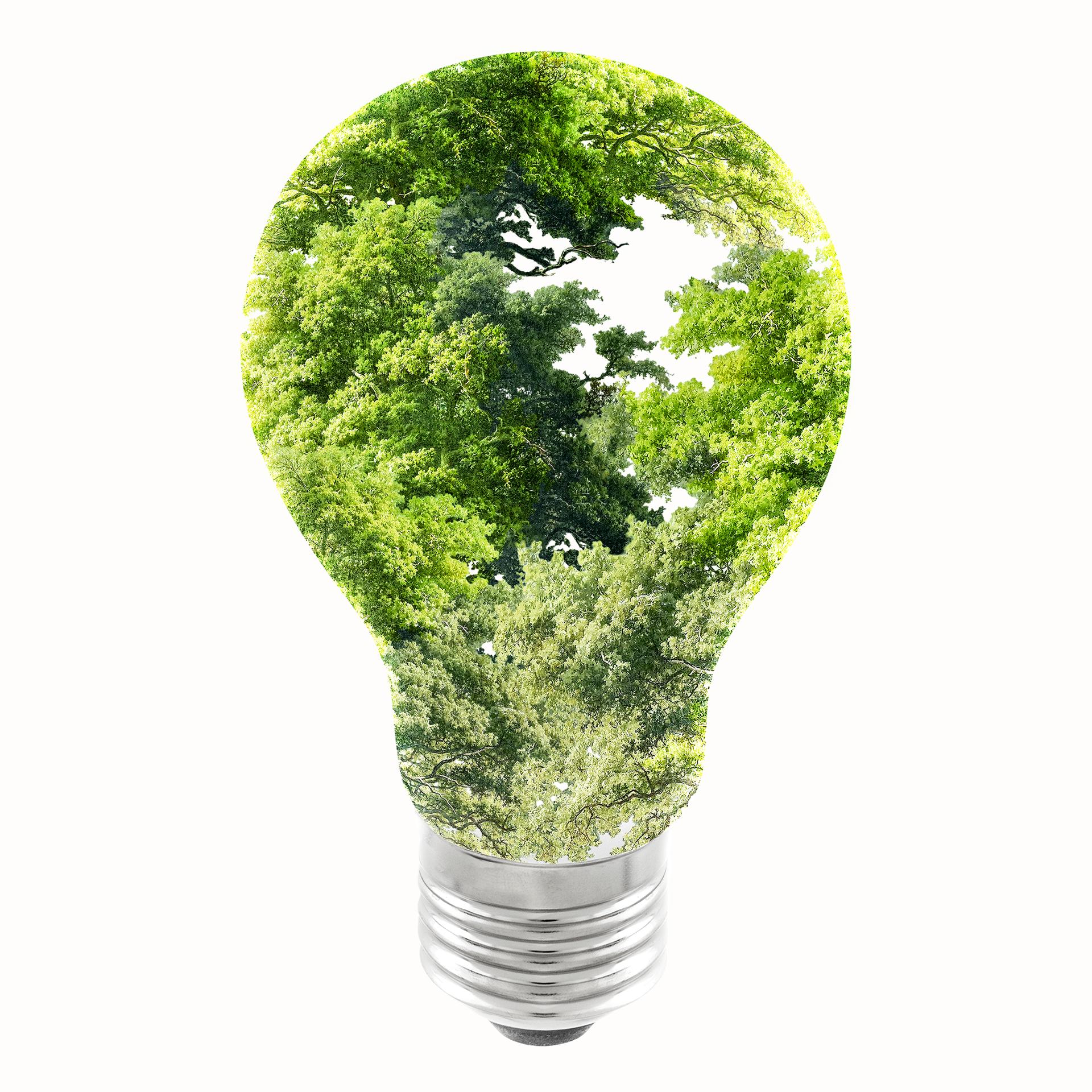 2026 Sustainability Forum