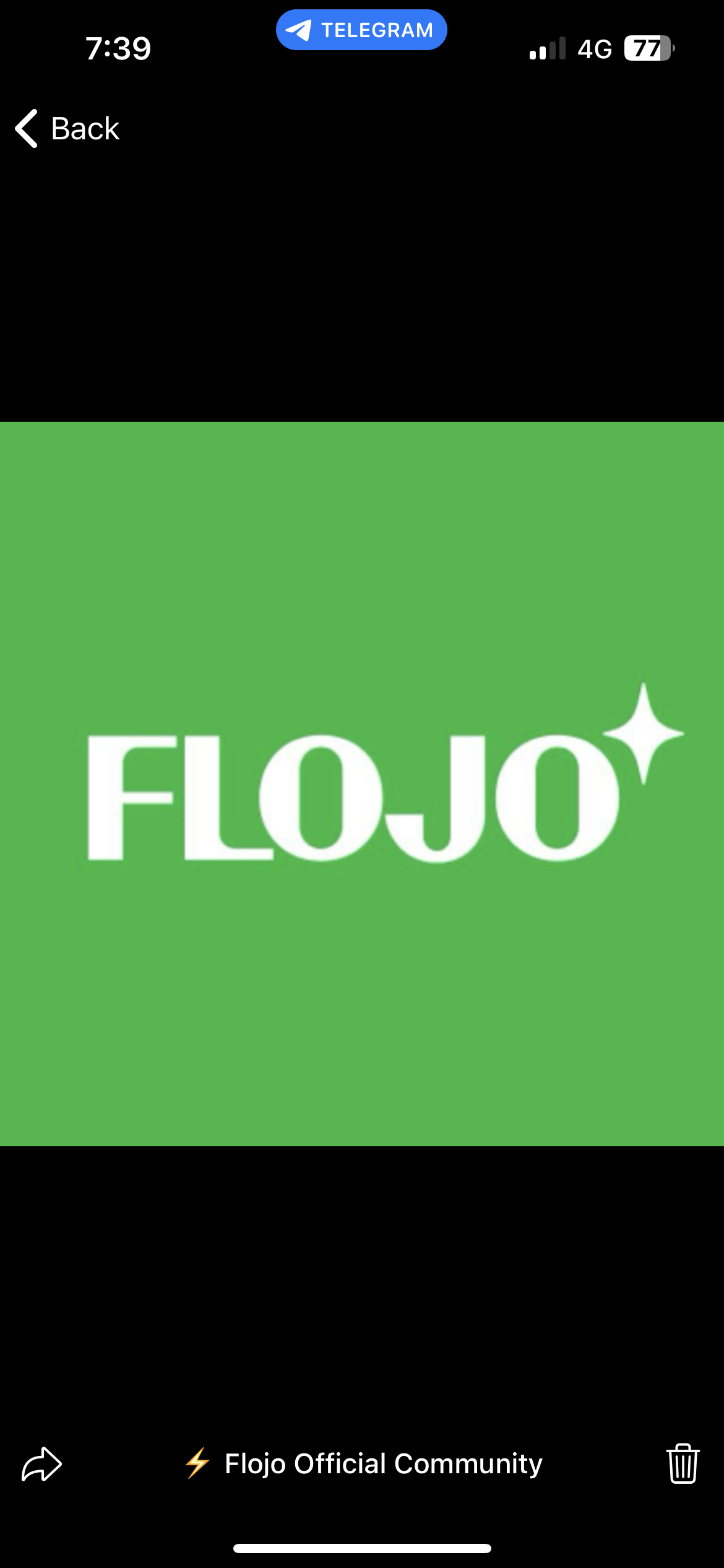 Flojo Drinks